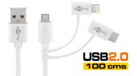 Cable de datos y carga USB - Micro B con adaptador de luz 08P / USB C blanco 1m.